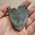 Kleiner blauer indonesischer Megalodon Haizahn