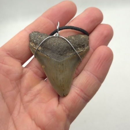 Megalodon Halskette Schmuck